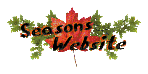 Seasons Website Logo
